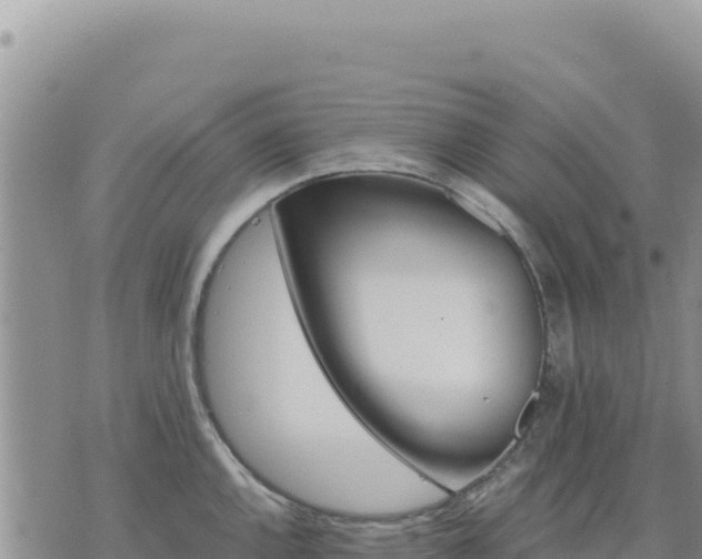 X0000073701144200608101807