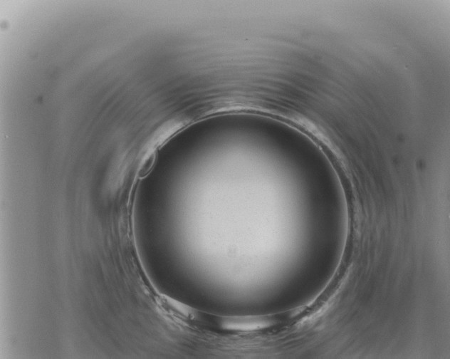 X0000073701145200608101807