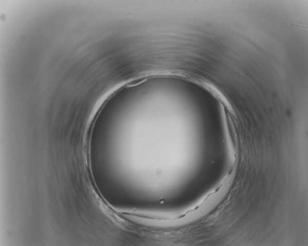 X0000073701148200608101807