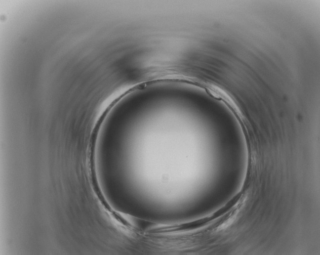 X0000073701149200608101807