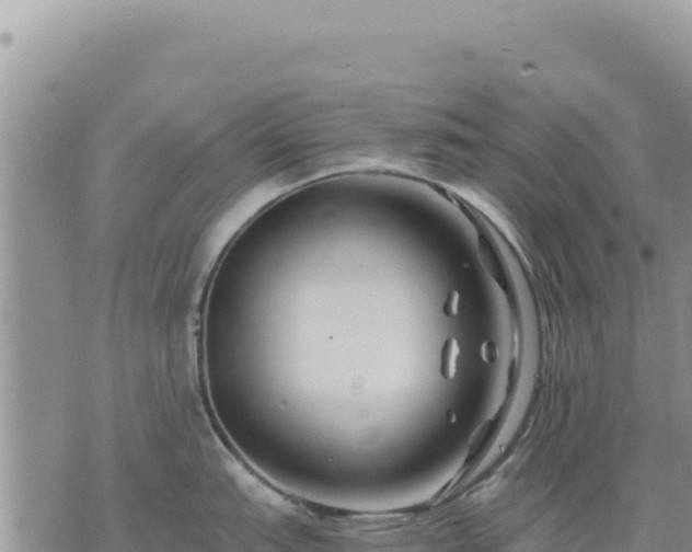 X0000073701151200608101807