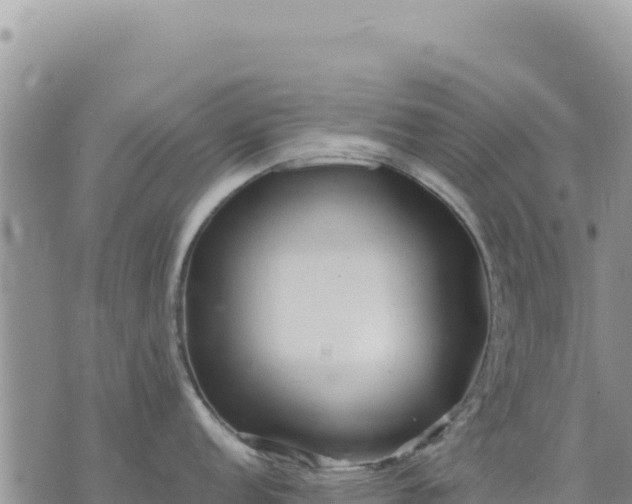 X0000073701152200608101807