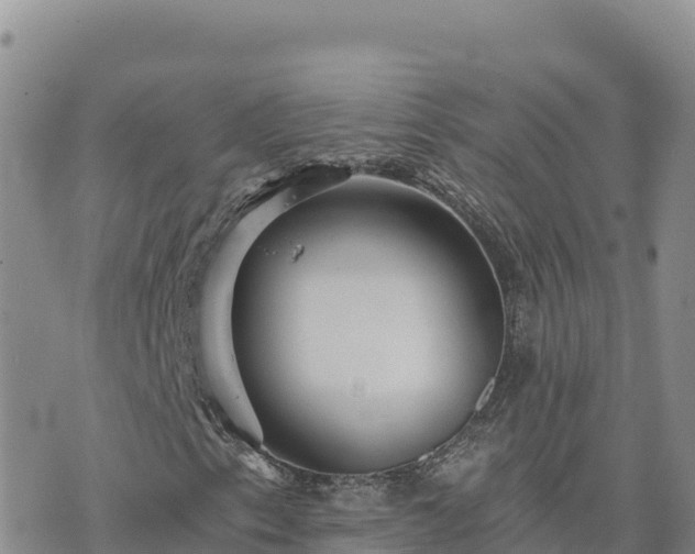 X0000073701153200608101806