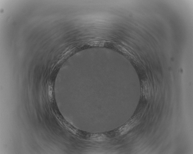 X0000073701154200608101806