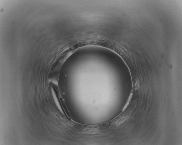 X0000073701156200608101806