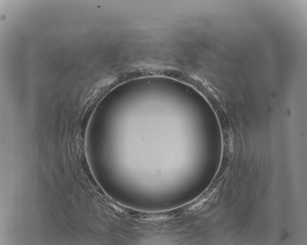 X0000073701157200608101806