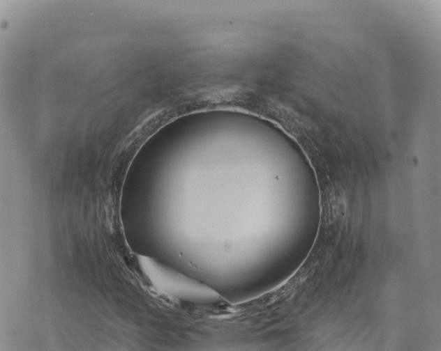 X0000073701158200608101806