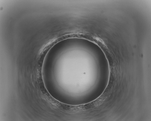 X0000073701159200608101806