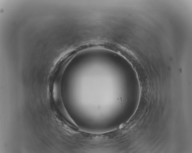 X0000073701160200608101806