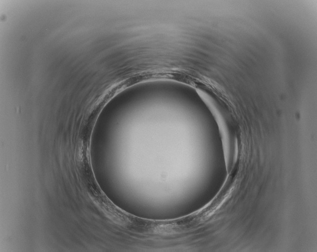 X0000073701161200608101806