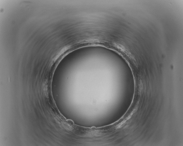 X0000073701162200608101806