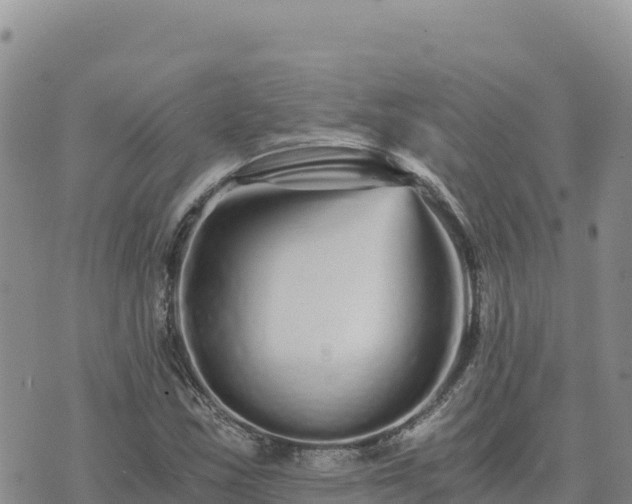 X0000073701163200608101806