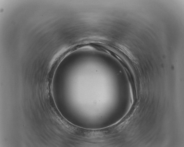 X0000073701164200608101806