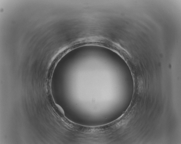 X0000073701166200608101806