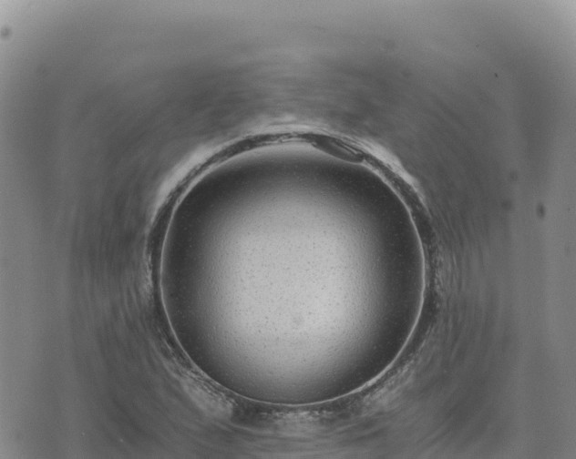 X0000073701167200608101806