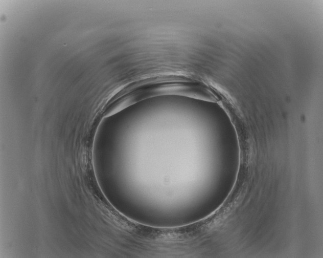 X0000073701169200608101806