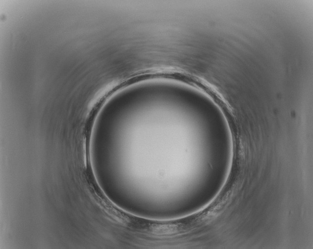 X0000073701171200608101806