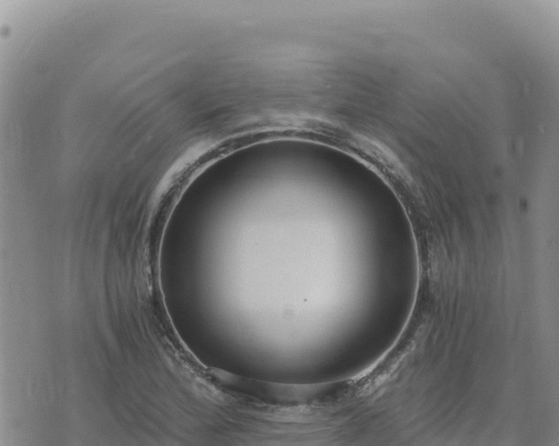 X0000073701172200608101806