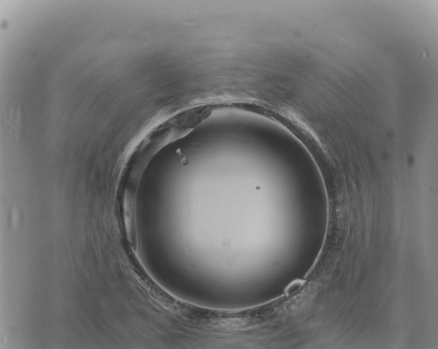 X0000073701173200608101806