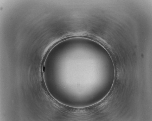 X0000073701174200608101806