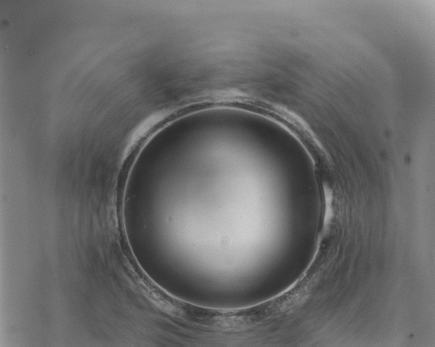 X0000073701176200608101806