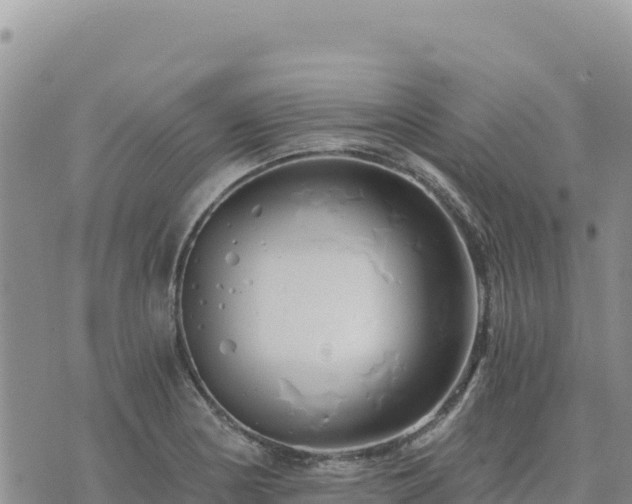 X0000073701178200608101806