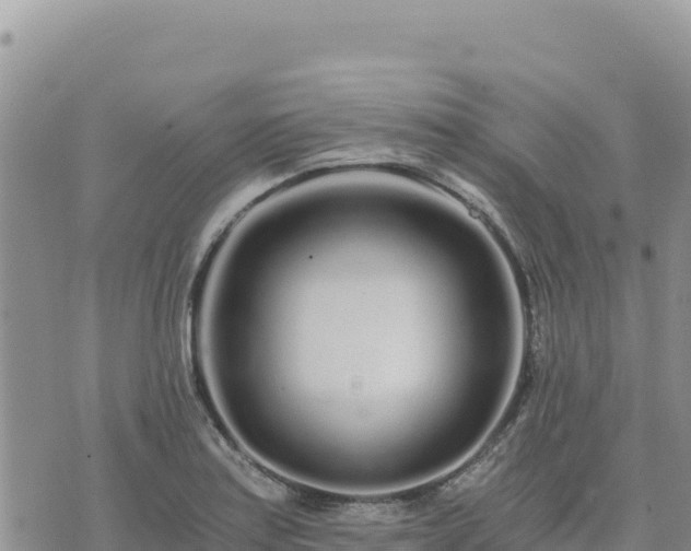 X0000073701179200608101806