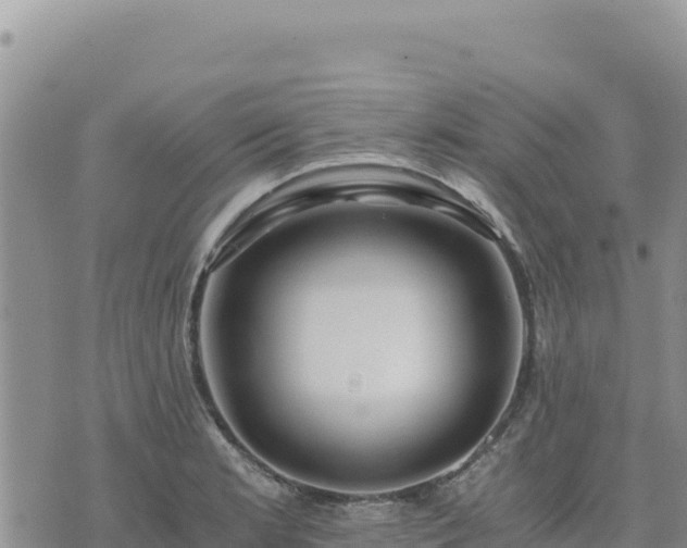 X0000073701181200608101806