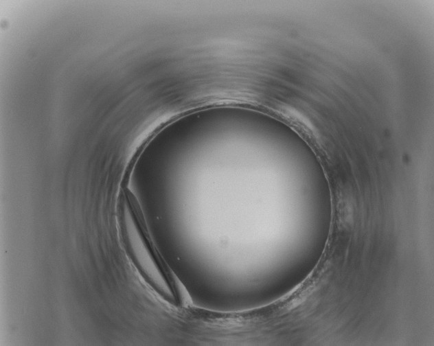 X0000073701182200608101806