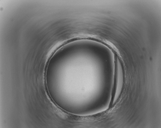 X0000073701183200608101806