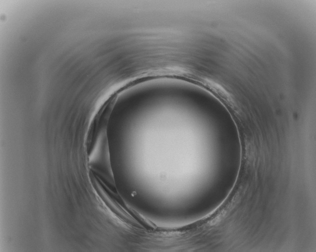 X0000073701184200608101806