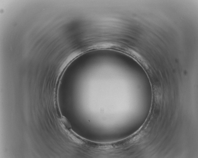 X0000073701186200608101806