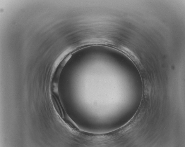 X0000073701188200608101806