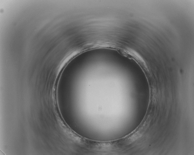 X0000073701190200608101806