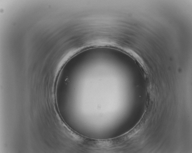 X0000073701191200608101806