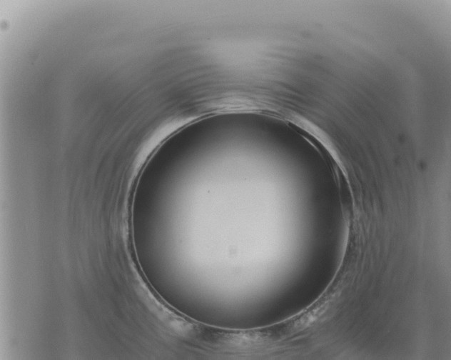 X0000073701195200608101805