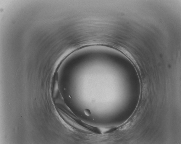 X0000073701197200608101805