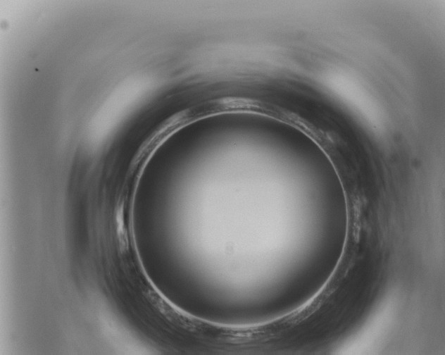 X0000073701198200608101805