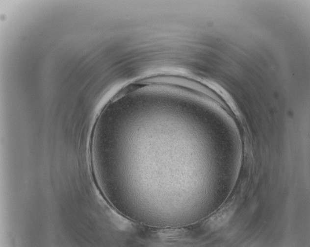 X0000073701199200608101805