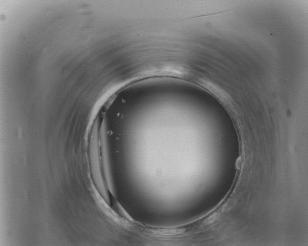 X0000073701200200608101805