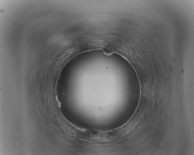 X0000073701201200608101805