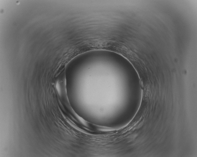 X0000073701202200608101805