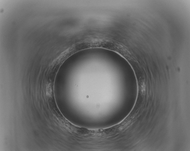 X0000073701204200608101805