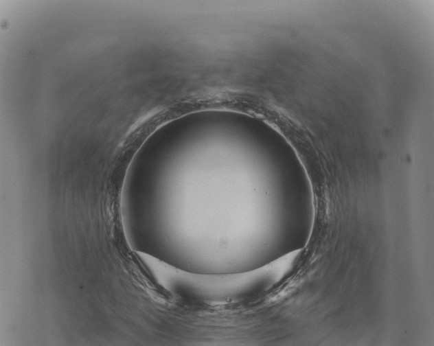 X0000073701206200608101805