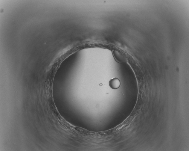 X0000073701207200608101805