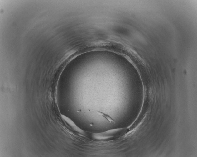 X0000073701209200608101805