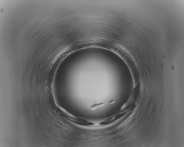 X0000073701210200608101805