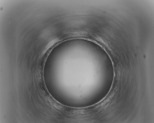 X0000073701211200608101805