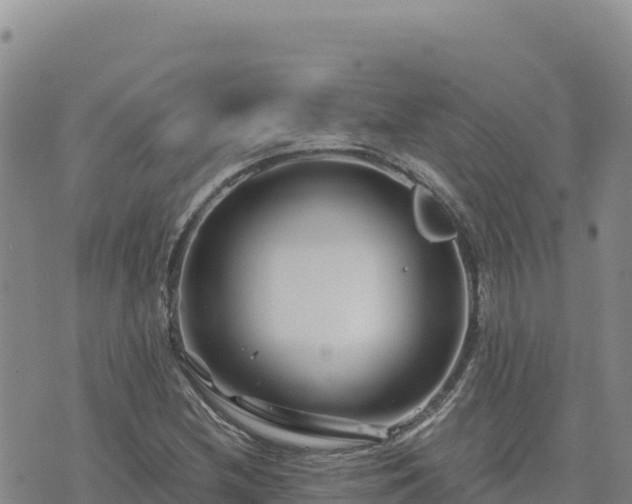 X0000073701212200608101805