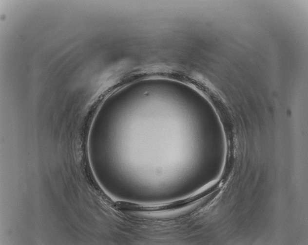 X0000073701213200608101805